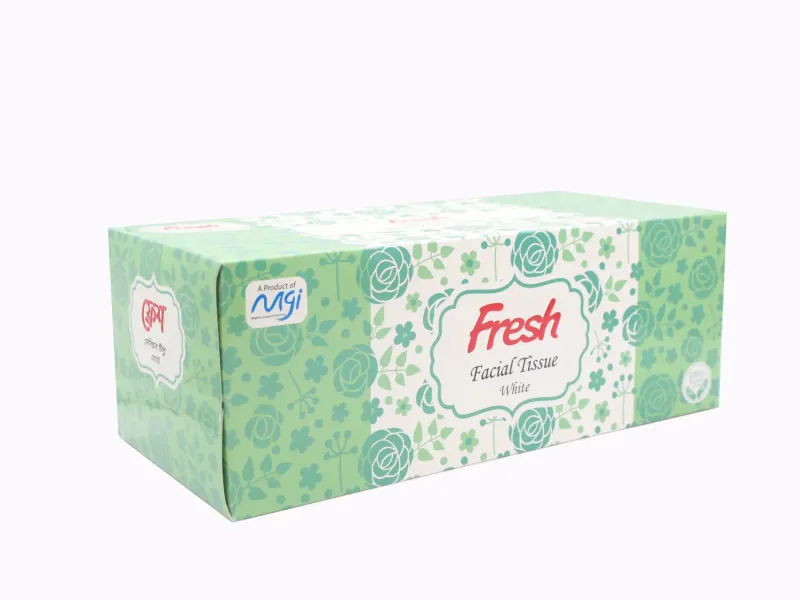 Fresh Facial Tissue White 100PcsX2Ply